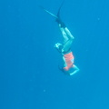 Malediivit_084.JPG
