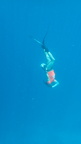 Malediivit 084