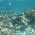 Malediivit 092
