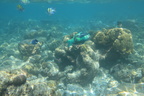 Malediivit 092