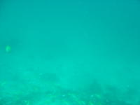 a04072