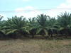 a04500